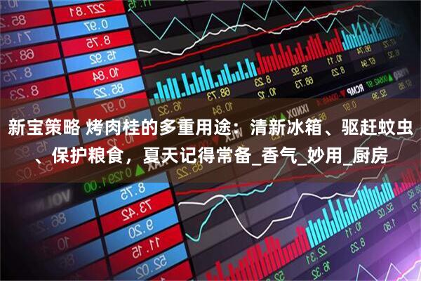 新宝策略 烤肉桂的多重用途：清新冰箱、驱赶蚊虫、保护粮食，夏天记得常备_香气_妙用_厨房