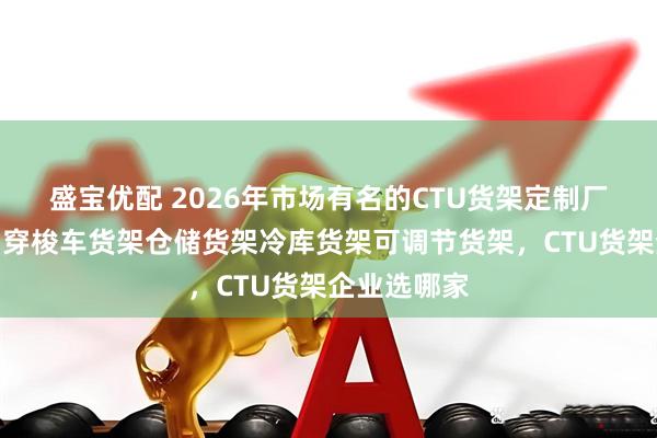 盛宝优配 2026年市场有名的CTU货架定制厂家选哪家，穿梭车货架仓储货架冷库货架可调节货架，CTU货架企业选哪家